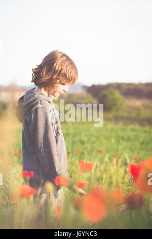 Boy standing in a poppy field holding poppies, Spain Stock Photo - Alamy