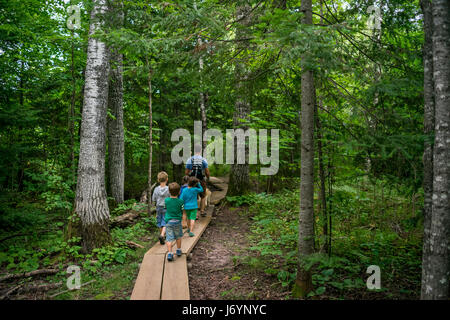 Father with four children hiking through a trail in the woods Stock Photo