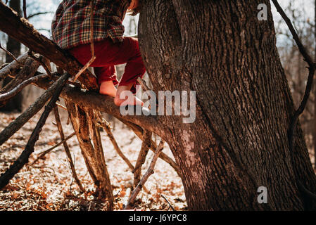 Boy climbing a tree Stock Photo