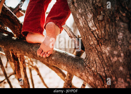 Boy climbing a tree barefoot Stock Photo