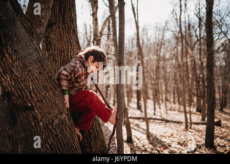 Boy climbing a tree in the forest Stock Photo