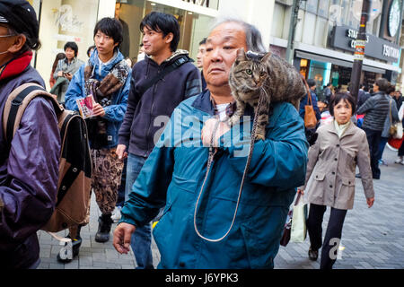 A man carries a cat on his shoulder in Osaka, Japan. Stock Photo