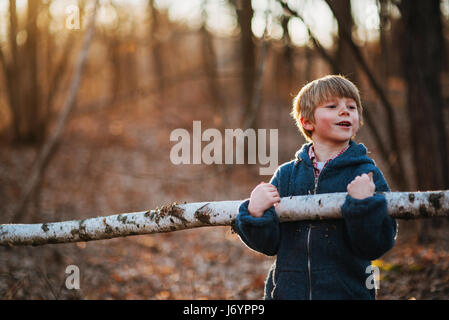 Boy carrying piece of birch wood in forest Stock Photo