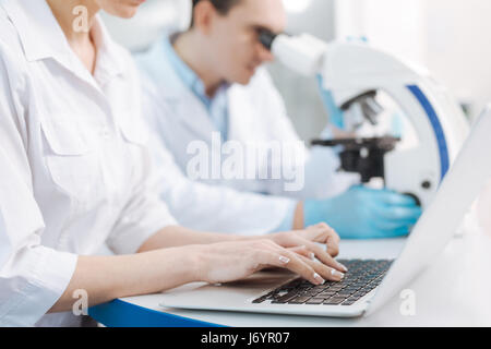 Confident practitioner working with computer Stock Photo