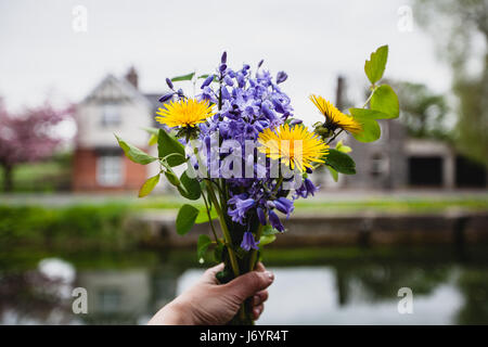 Woman's hand holding flowers Stock Photo