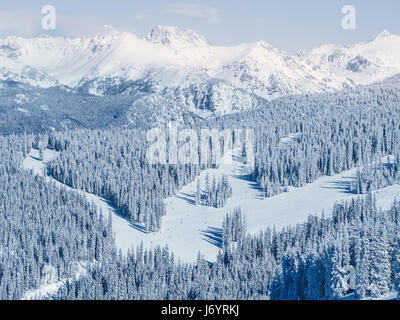 Snow covered landscape and evergreens, Vail, Colorado, United States Stock Photo