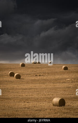 Hay bales in a field during a storm, Garden Route, Western Cape, South Africa Stock Photo
