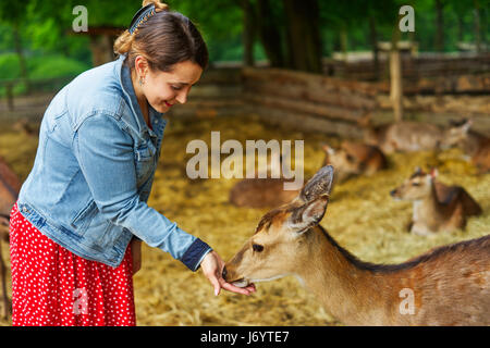 A woman feeding deer Stock Photo