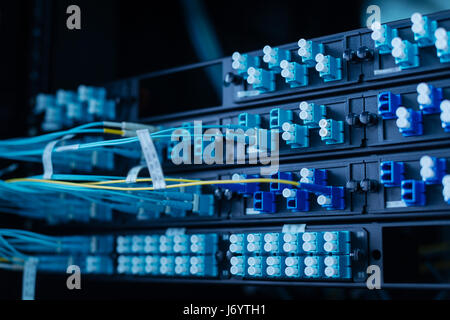 Internet cables being switched to the rack server Stock Photo