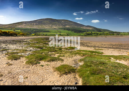 Carsethorn Beach and Criffel on a sunny Spring day, with vegetation in foreground. Dumfries and Galloway Scotland. Stock Photo