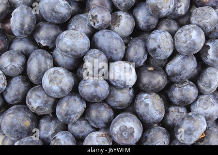 fresh blueberry fruits closeup as a food background texture Stock Photo