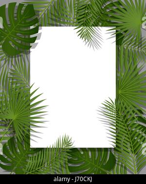 White paper on green summer tropical background with exotic palm leaves and plant. Vector floral design. Stock Vector