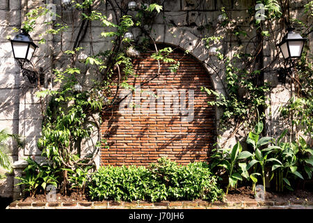 Old wall with plants in the historic district of Manila, Philippines. Stock Photo