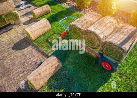 Natural Grass Turf Installation in the Backyard Garden. Gardening Theme. Stock Photo