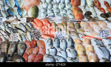 Fresh fish on ice, displayed for sale Stock Photo