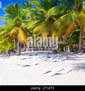 Coconut palms, empty loungers are on white sandy beach. Caribbean Sea, Dominican republic, Saona island coast, touristic resort Stock Photo