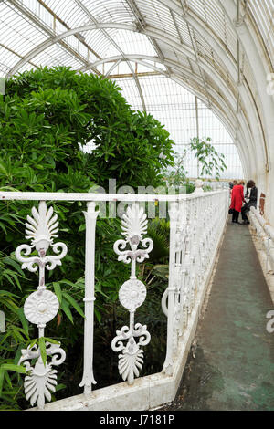 Long view of the ornamental Victorian ralling and visitors at the top of the Palm House at Kew Gardens, London UK  KATHY DEWITT Stock Photo