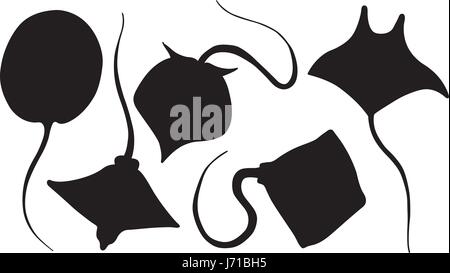 Set of different stingray silhouettes isolated on white Stock Vector