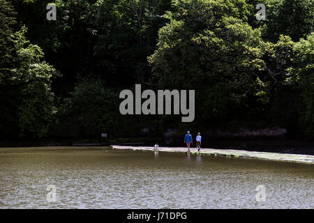 Boats on a creek of river dart at Stoke Gabriel South Hams Devon Stock Photo