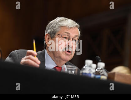 New York, USA. 2nd May, 2017. File photo taken on May 2, 2017 shows Iowa Governor Terry Branstad testifying before the U.S. Senate Foreign Relations Committee on a hearing considering him to be U.S. Ambassador to China on Capitol Hill in Washington, DC, the United States. U.S. Senate on May 22 approved Iowa Governor Terry Branstad to be the new U.S. Ambassador to China. Credit: Bao Dandan/Xinhua/Alamy Live News Stock Photo