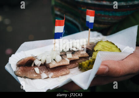 A hand holds a traditional Dutch delicacy of herring with gherkins and onions. Stock Photo