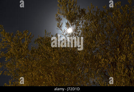 Beautiful moon background, Cool image Stock Photo - Alamy