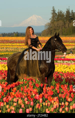 Horse rider in tulip field, Wooden Shoe Bulb Co., Clackamas County, Oregon Stock Photo