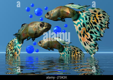 coloured colourful gorgeous multifarious richly coloured fish pisces toy fish Stock Photo