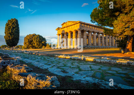 Paestum was a major ancient Greek city on the coast of the Tyrrhenian Sea in Magna Graecia (southern Italy). The ruins of Paestum are famous for their Stock Photo