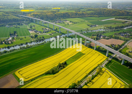 Ruhrtal bridge, Mintarder bridge over the Ruhr, A52 motorway, yellow rapeseed field, Ruhr valley, Mülheim an der Ruhr, Ruhr area, North Rhine-Westphal Stock Photo