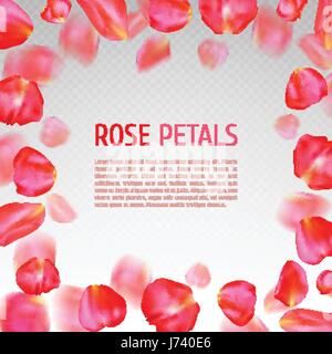 Rose petals border Stock Vector