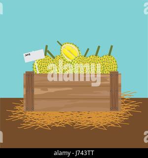 durian in a wooden crate Vector illustration Stock Vector
