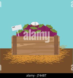 mangosteen in a wooden crate Vector illustration. Stock Vector