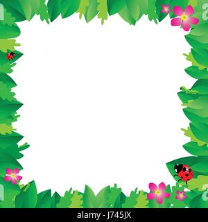 Ladybug on leaves with green leaves frame, vector illustration. Stock Vector