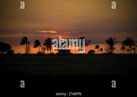 Peaceful orange sun setting behind the clouds, palm trees and hut in Havana, Cuba Stock Photo