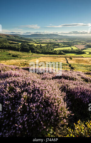 The Cleveland Hills from Kildale Moor, North Yorks Moors National Park Stock Photo
