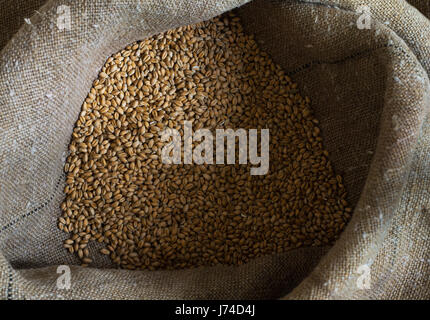 Wheat grains in the sack Stock Photo