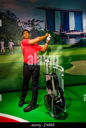 Singapore - September 15,2015 : The wax figure of Tiger Woods in Madame Tussauds Singapore. Stock Photo