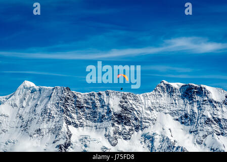 Swiss Alps Paragliding Stock Photo