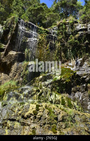 One of many waterfalls in Waitakere Ranges Regional Park in West Auckland. Stock Photo