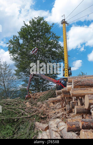 Timber harvesting with a skyline crane and manipulator in a mixed forest in the Styrian foothills of the limestone alps under sunny skies in summer. Stock Photo