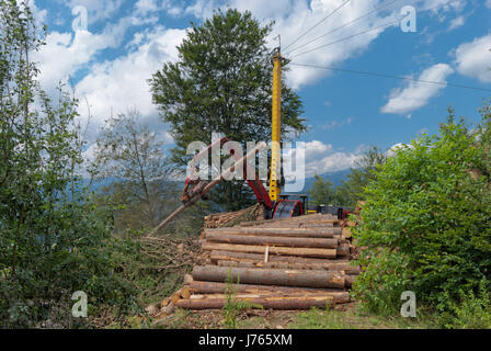 Timber harvesting with a skyline crane and manipulator in a mixed forest in the Styrian foothills of the limestone alps under sunny skies in summer. Stock Photo