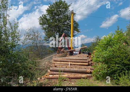 Timber harvesting with a skyline crane and manipulator in a mixed forest in the Styrian foothills of the limestone alps under sunny skies in summer. Stock Photo