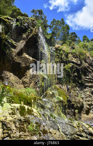 One of many waterfalls in Waitakere Ranges Regional Park in West Auckland. Stock Photo