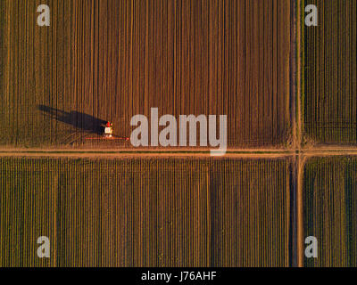 Agricultural tractor with crop sprayer in cultivated corn maize crop field, drone pov top view Stock Photo