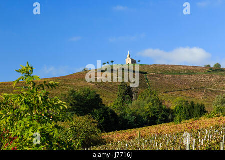 France, Rhone, Beaujolais region, Fleurie, Chapel of the Madonna and the vineyards in autumn Stock Photo