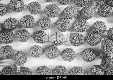 Funeral Indian beads of rudraksha seeds closeup Stock Photo