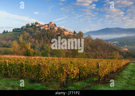 Ternand Village of Beaujolais and vineyards in France Stock Photo - Alamy