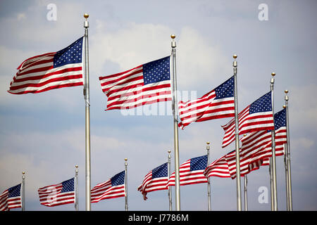 rows of us flags flying on the national mall at the washington monument Washington DC USA Stock Photo