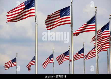 rows of us flags flying on the national mall at the washington monument Washington DC USA Stock Photo